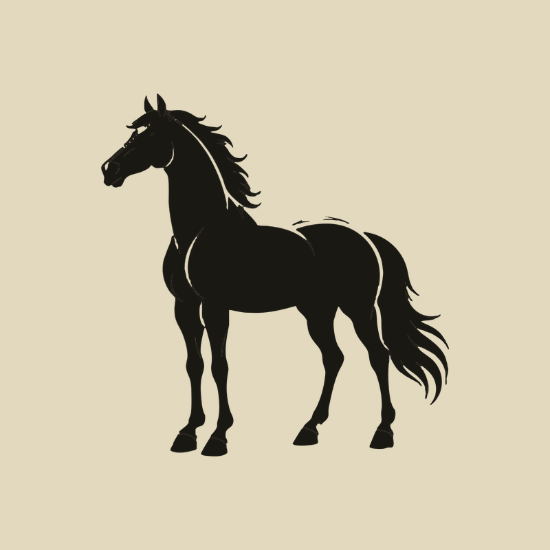 Paard