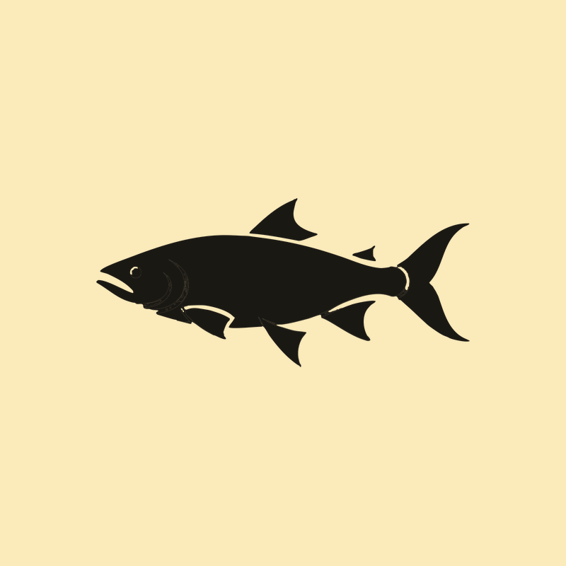 Vis