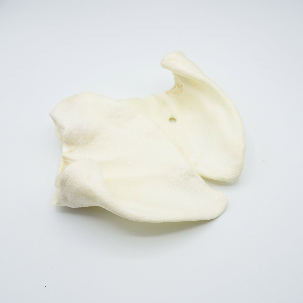 Gedroogde varkensoren WIT